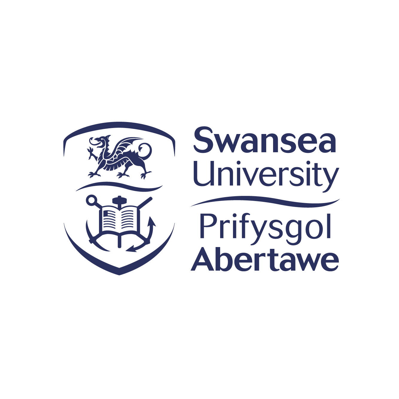 Swansea University